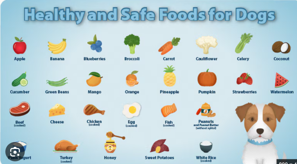 Vitamins for Pets Benefits, Types & Safe Supplement Tips