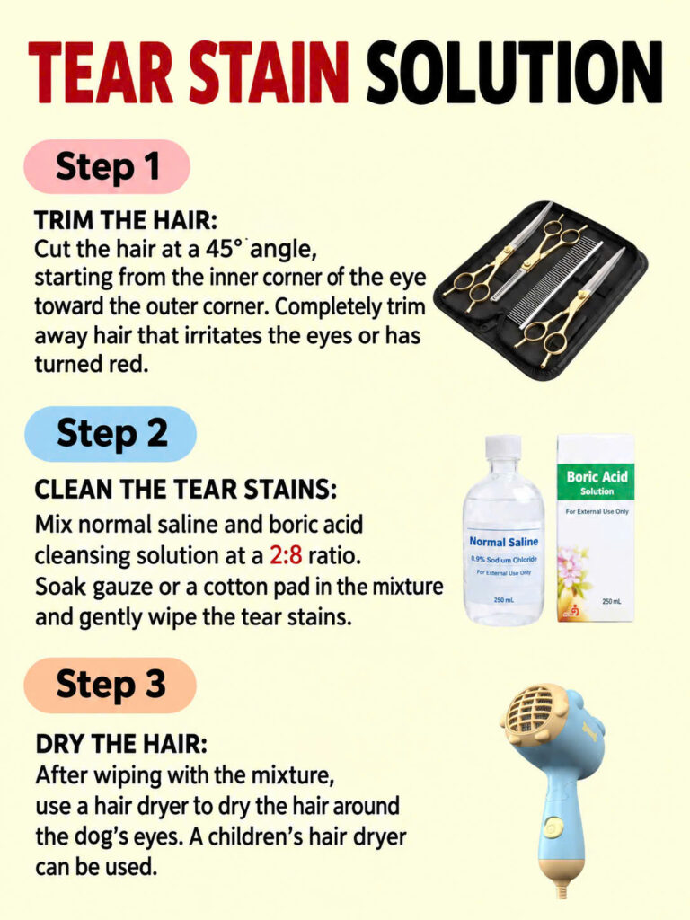 What Stage Are Your Dog's Tear Stains At