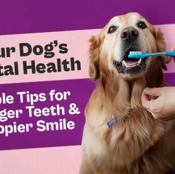 How to Care for Your Dog's Teeth for Good Health