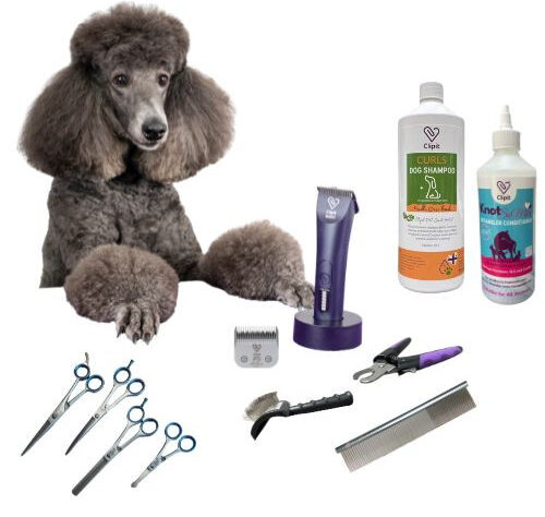 Poodle-grooming-1